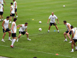 Mark Bresciano, socceroos