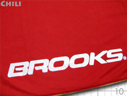 Chile 2010 Home @`\@z[@Brooks