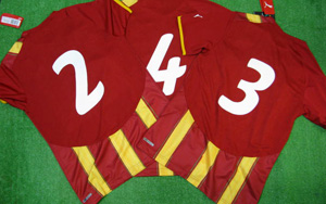 Ghana 2010 Away TEAM-ORDER ガーナ代表 アウェイ ブラックスターズ チームオーダー