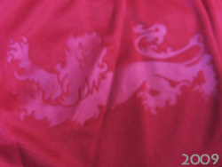 British Irish Lions Rugby 2009 adidas@ueBbVEACbVECIY@AfB_X@299305