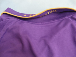 Fiorentina 2010-2011 Home tBIeB[i@z[