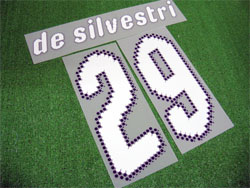 Lazio 2008-2009 Home #29 De Silvestri@cBI@z[ cHEfEVxXg