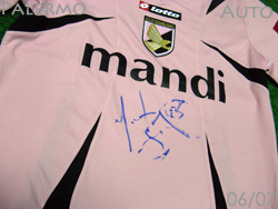 Mark Bresciano Palermo